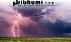 BMKG Peringatkan Masyarakat Waspadai Potensi Angin Kencang dan Hujan Petir
