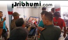 Tragedi Konflik Lahan di Bengkulu Selatan: Lima Petani Tertembak Saat Menghalangi Alat Berat Perusahaan Sawit