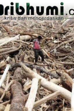 Kemenhut Telusuri Asal Kayu Terbawa Banjir Sumatera, Dugaan Praktik Ilegal Menguat
