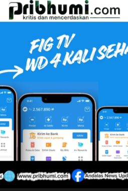 Aplikasi Nonton Drama Pendek Bisa Hasilkan Saldo DANA Hingga Empat Kali Sehari