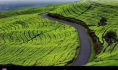 Ayo Berwisata Lebaran 2026 ke Kerinci dan Sungai Penuh, Nikmati Surga Alam di Jantung Jambi