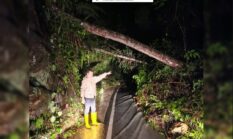 Longsor dan Pohon Tumbang di Jalur Sungai Penuh–Tapan, Akses Terbatas dan Truk Tertahan