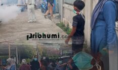 Antisipasi DBD, Puskesmas Semurup Turun Langsung Lakukan Fogging