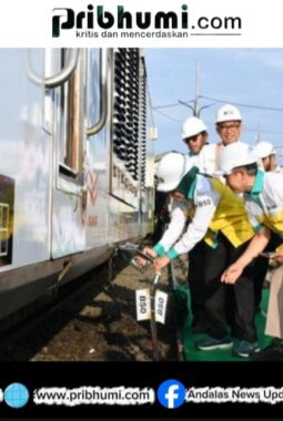 Pemerintah Matangkan Implementasi B50 Lewat Uji Teknis di Berbagai Sektor Industri