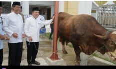 Bantuan Kurban Presiden Prabowo untuk Jambi Disalurkan ke Seluruh Kabupaten dan Kota