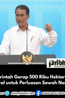 Pemerintah Garap 500 Ribu Hektare Rawa Mineral untuk Perluasan Sawah Nasional