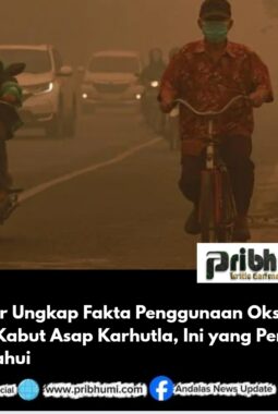 Dokter Ungkap Fakta Penggunaan Oksigen Saat Kabut Asap Karhutla, Ini yang Perlu Diketahui
